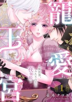 Chouai Ookyuu: Isekai, Futari no Ou to Yotogi Hime cover