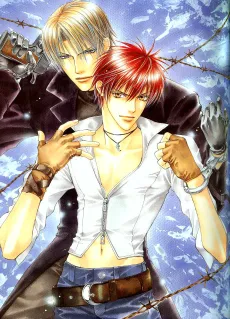 Risky Society cover
