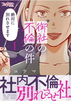 Affair Ender REI cover