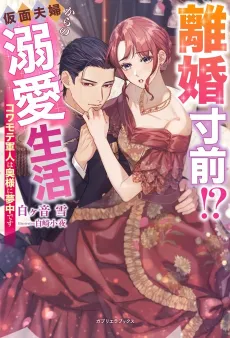Rikon Sunzen!? Kamen Fuufu Kara no Dekiai Seikatsu: Kowamote Gunjin wa Oku-sama ni Muchuu desu cover