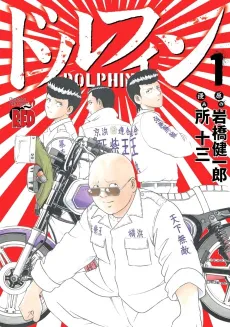 Dolphin cover