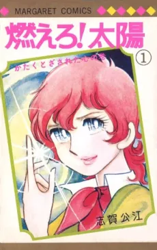 Moero! Taiyou cover