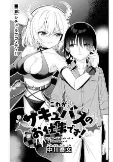 Kore ga Succubus no Oshigoto desu! cover