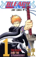 Bleach cover