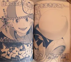 Kendama Arashi cover