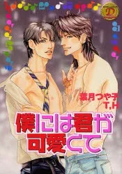 Boku ni wa Kimi ga Kawaikute cover