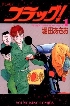 FLAG! cover