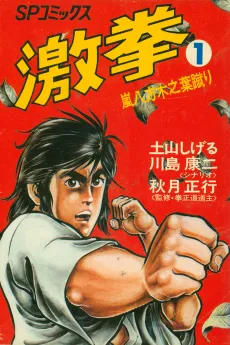 Geki Ken cover