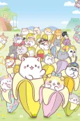 Bananya and the Curious Bunch cover