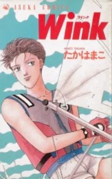 Wink cover