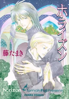 Horizon cover
