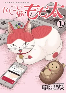 Kashikoi Neko Momo Futo cover