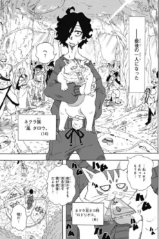 Tarou to Rodriguez cover