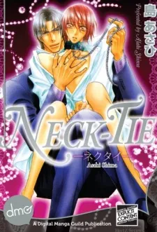 Neck-Tie cover