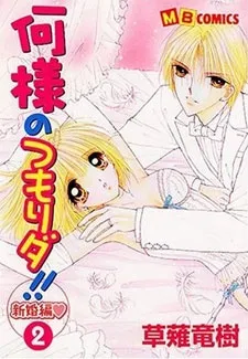 Nani-sama no Tsumorida!! Shinkonhen cover