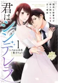 Kimi wa Cinderella: Kokou na Onzoushi ga Taema Naku Ai wo Sosogu Riyuu cover