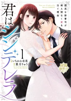 Kimi wa Cinderella: Kokou na Onzoushi ga Taema Naku Ai wo Sosogu Riyuu cover