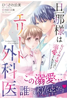 Danna-sama wa Elite Gekai: Karisome Fuufu na no ni Dekiaisaretemasu cover