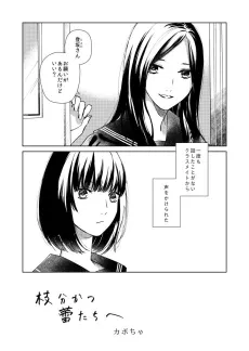 Eda Wakatsu Tsubomitachi e cover