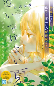 Oitsukenai Natsu cover