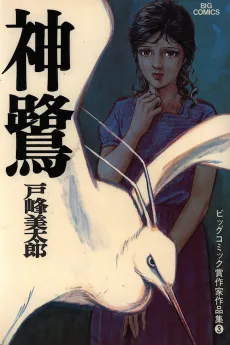 Kami Sagi cover