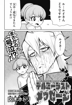 Terumi Last Message cover