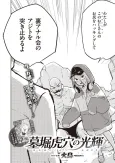 Hakahori Koketsu's Splendor cover