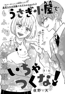 Usagi Koya de Ichatsuku na! cover