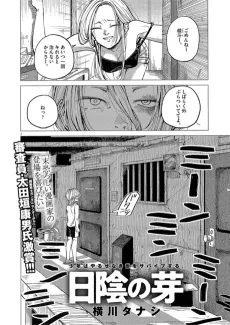 Hikage no Me cover