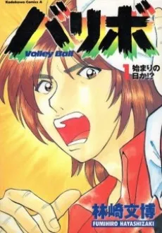Volleyball cover