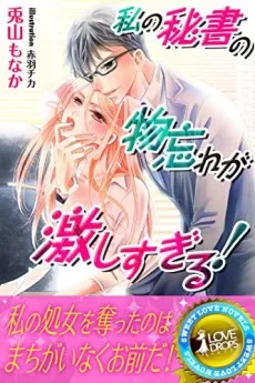 Watashi no Hisho no Monowasure ga Hageshi Sugiru! cover