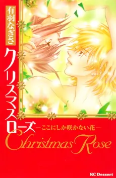 Christmas Rose cover