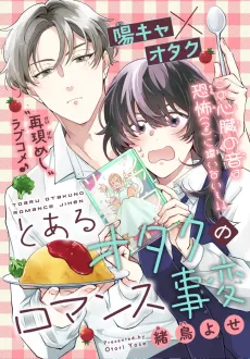 Toaru Otaku no Romance Jihen cover