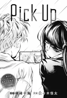 Pick Up cover