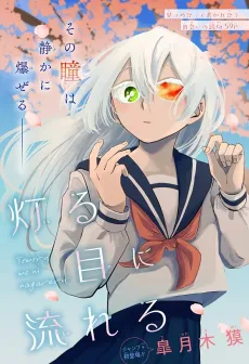 Tomoru Me ni Nagareru cover