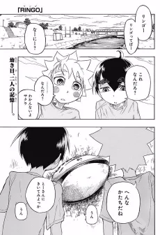 RINGO cover