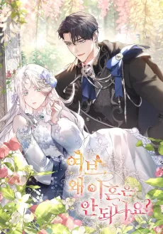 Darling, Why Can't We Divorce? cover