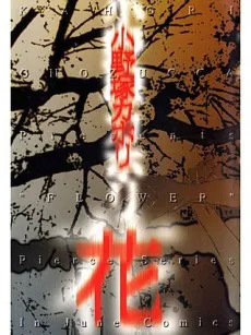 Hana cover