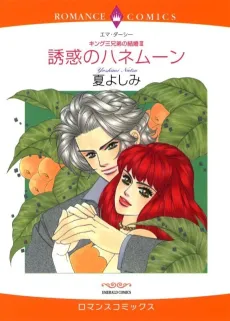 The Honeymoon Contract cover