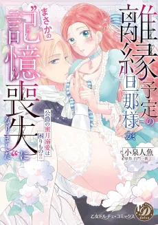 My Soon-to-Be Ex-Husband Got Amnesia! cover
