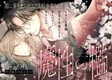 Mashou no Ori cover