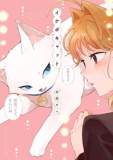 Ikebo Cat cover