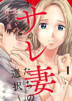 Ai to Iu ni wa, Hodotoui: Saretsuma-tachi no Sentaku cover