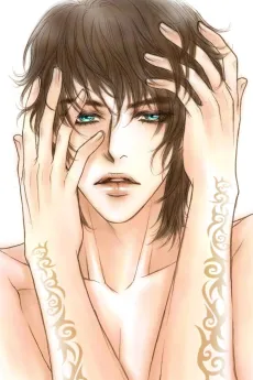 Model cover