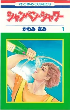 Champagne Shower cover