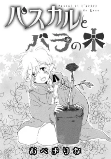 Pascal to Baranoki cover