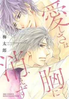 Itoshisa wa Mune ni Kiezu cover