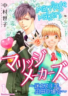 Marriage Makers -Case Study: Mikoto Nagita, Lost Sheep- cover