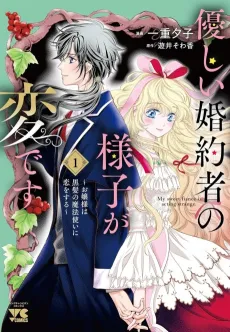 Yasashii Konyakusha no Yousu ga Hen desu: Ojou-sama wa Kurokami no Mahoutsukai ni Koiosoru cover