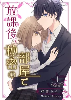 After School, in Our Secret Room cover